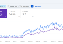 Google SEO成功与失败案例分析有哪些？