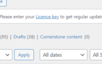 谷歌SEO如何规划一个新的品类做流量和转化呢？